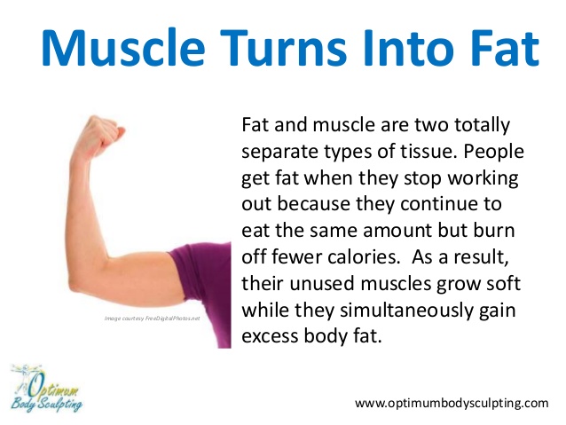 dispelling-fitness-myths-about-food-fitness-and-exercise-2-638